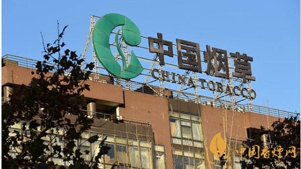 香煙漲價(jià)最新消息2020：香煙漲價(jià)真的能控?zé)焼?>
                                    <span>香煙漲價(jià)最新消息2020：香煙漲價(jià)真的能控?zé)焼?/span>
                                    <p>現(xiàn)在我國煙民的基數(shù)在不斷增大，而且有越來越多的青少年加入吸煙</p>
                                </a>
                            </li>
                                                                                </ul>
                    </div>

                </div>
            </div>
        </div>
    </div>

    
<link rel=