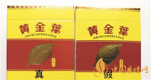 如何辨別黃金葉金滿堂真假？2020黃金葉真假辨別詳情對(duì)比