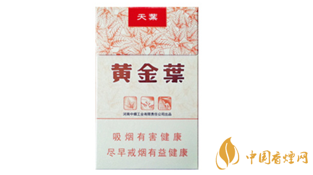 黃金葉天葉真?zhèn)卧趺幢鎰e？天葉真假如何看？