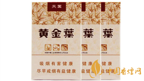 2020黃金葉天葉怎么樣？黃金葉大小天葉有什么不同