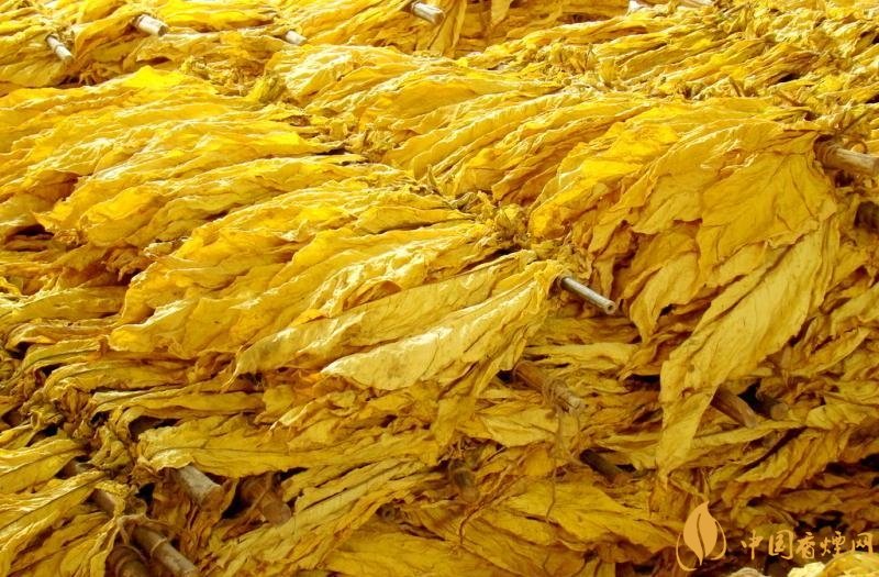 有機(jī)煙葉是什么，有機(jī)煙葉和普通煙葉的區(qū)別