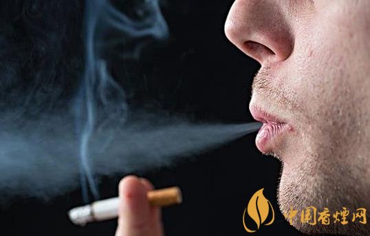 怎么快速去除室內(nèi)的煙味只需要做好這三步！